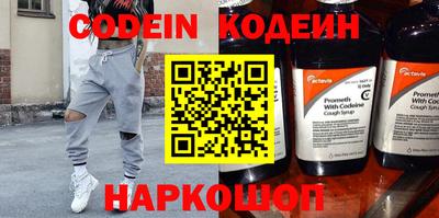 крисы Кулебаки
