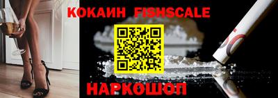 крисы Кулебаки