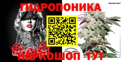 крисы Кулебаки