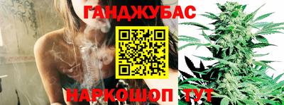 крисы Кулебаки