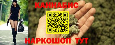 крисы Кулебаки