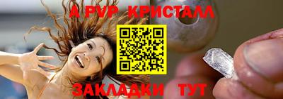 крисы Кулебаки