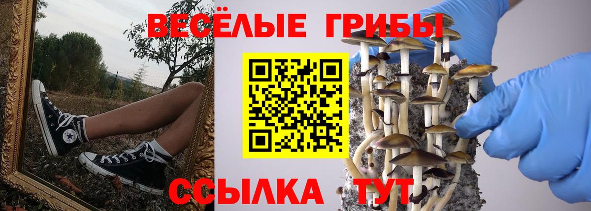 Галлюциногенные грибы MAGIC MUSHROOMS  Вход с VPN  Вышний Волочёк 